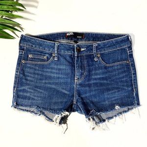 Urban Outfitters BDG Shorts